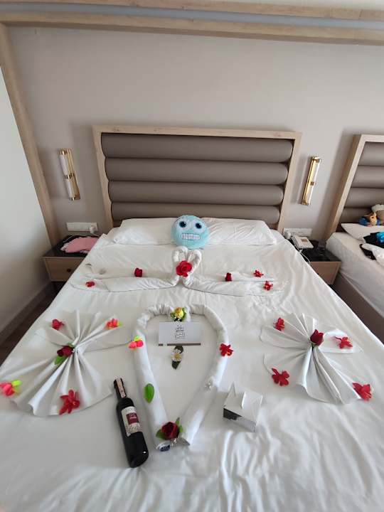 Zimmer Aydinbey Kings Palace & Spa