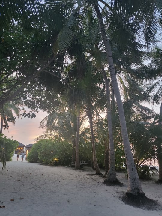 Gartenanlage Vilamendhoo Island Resort & Spa