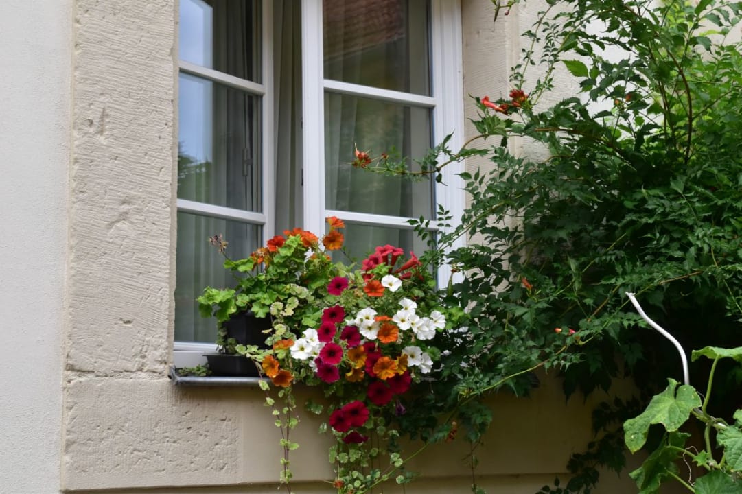 Gartenanlage Hotel Europa Bamberg