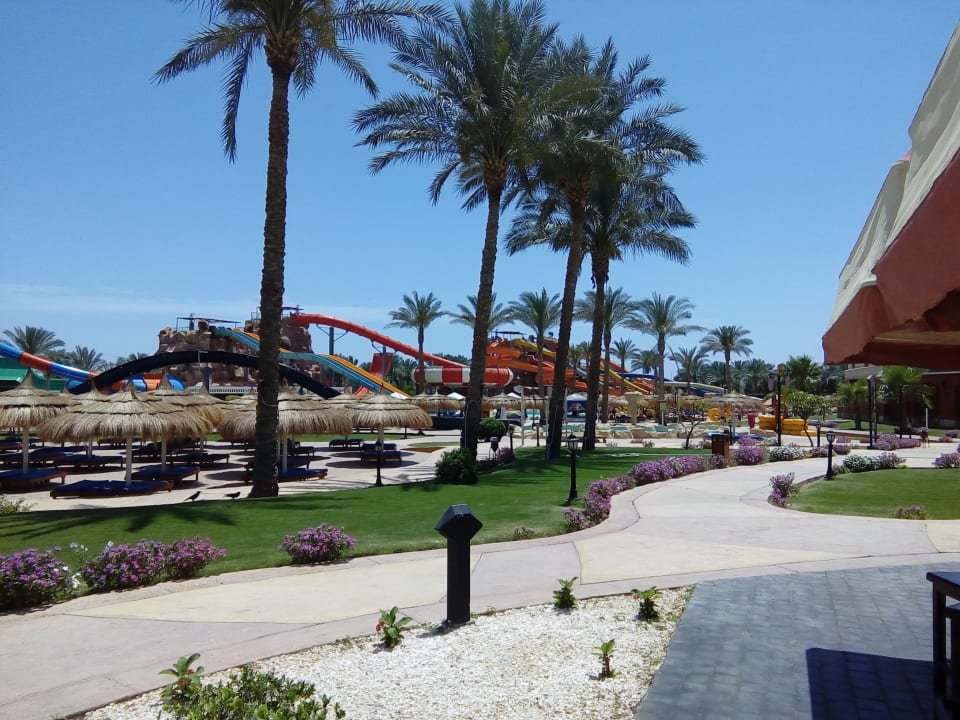 Sport & Freizeit Pickalbatros Aqua Blu Resort - Sharm El Sheikh