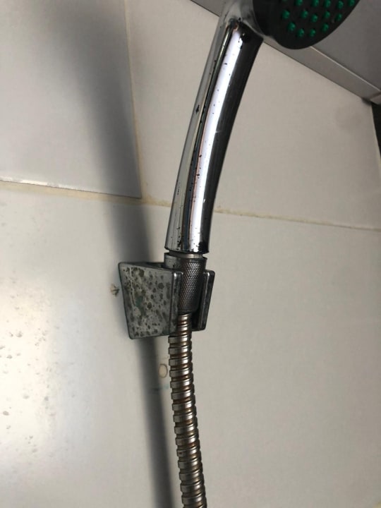 Zimmer whala!bávaro