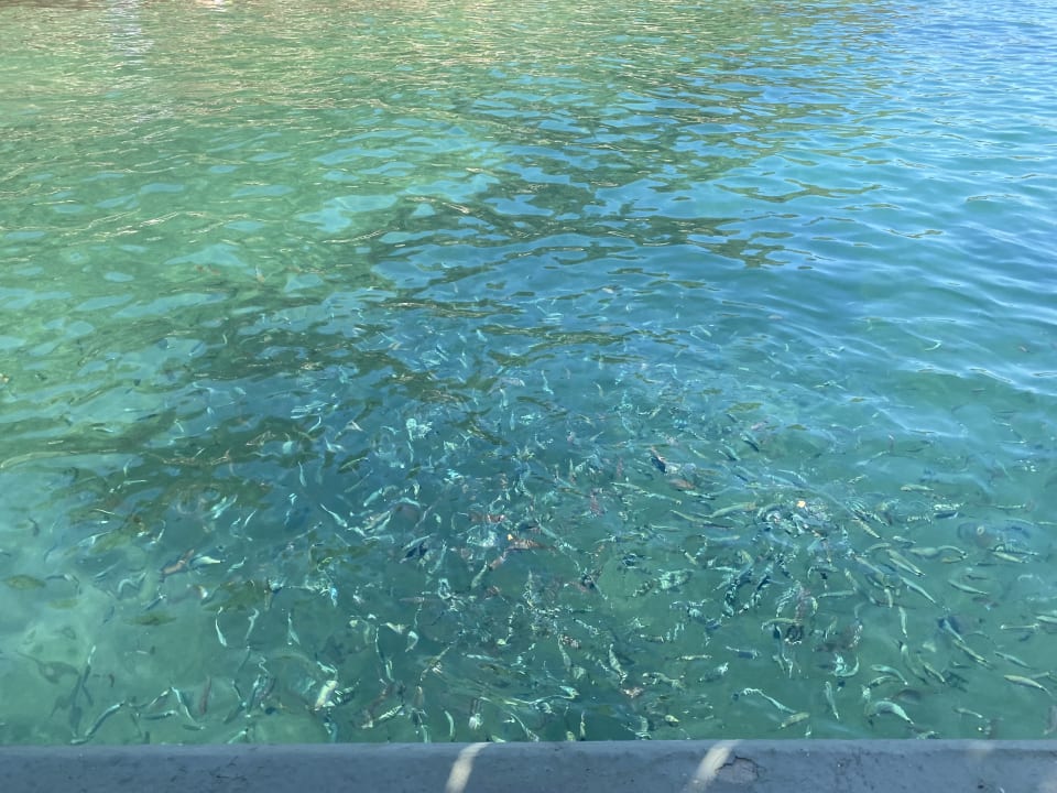 Strand Grand Yazici Club Marmaris Palace