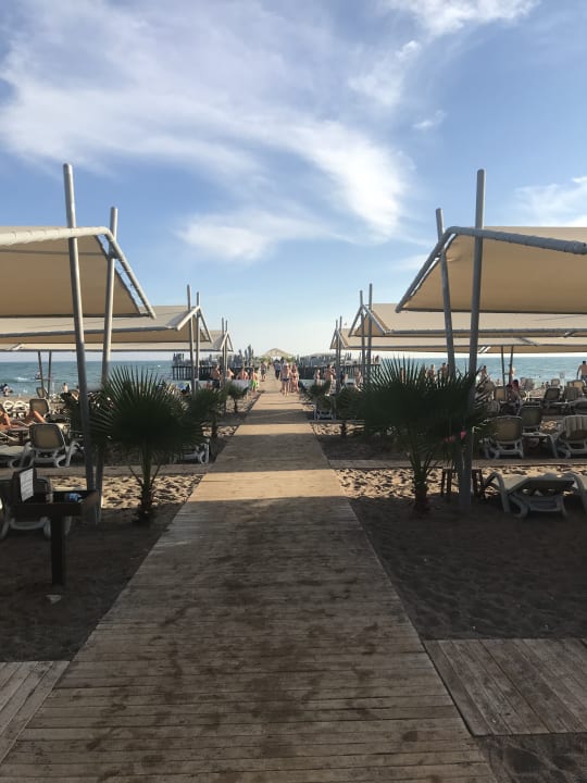 Strand Royal Seginus