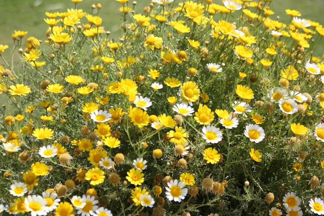 Красота! Regency Plaza Aqua Park & Spa