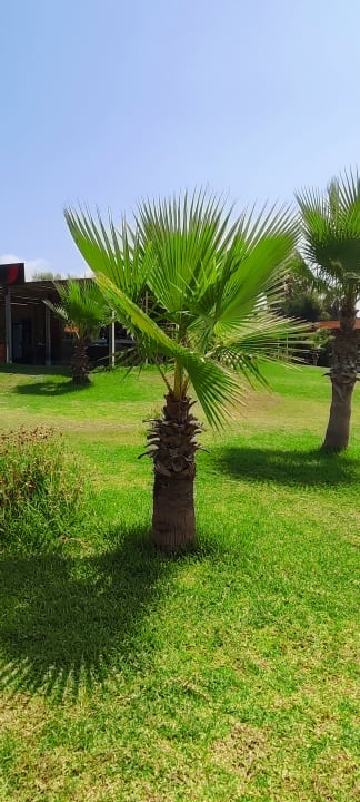 Gartenanlage Hotel Süral