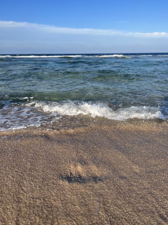 Strand Steigenberger Resort Alaya Marsa Alam - Red Sea - Adults only