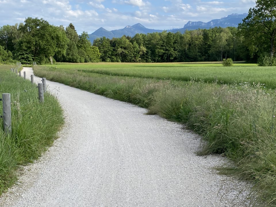 Gartenanlage Hotel Zum Fischer am See