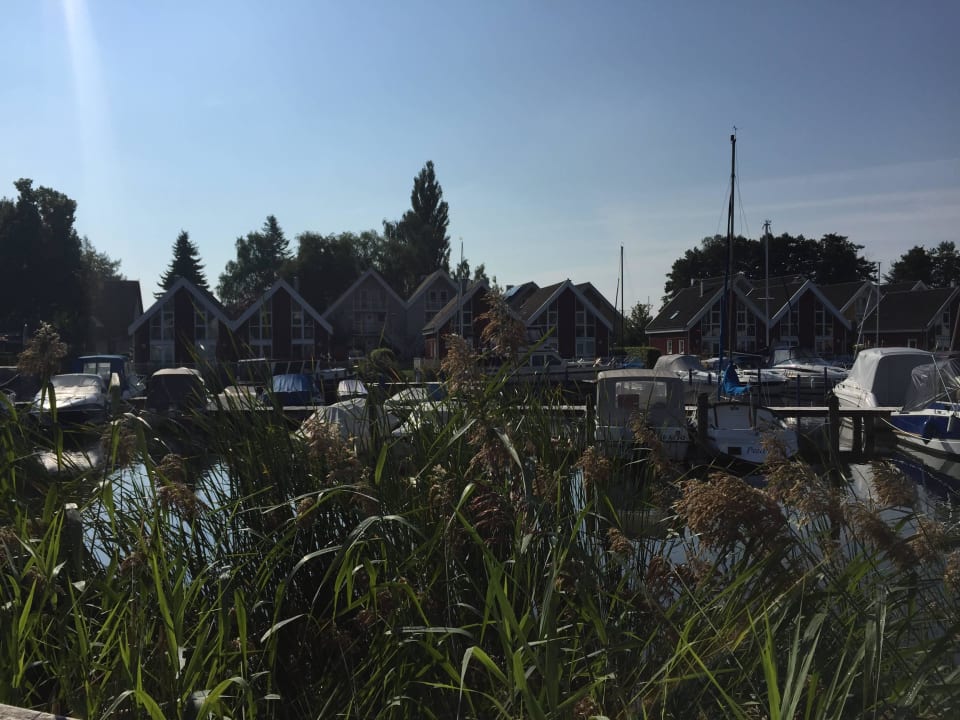 Ausblick von Terrasse Ferienpark Scharmützelsee
