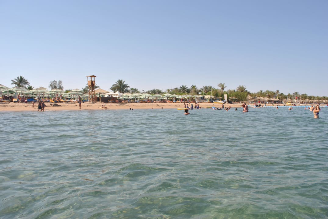 Blick aus dem Wasser zum Strand Ghazala Gardens