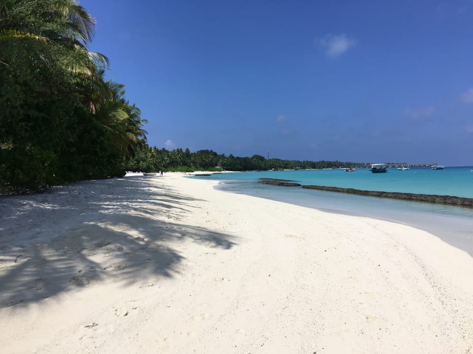 Die Lagune  Kuramathi Maldives