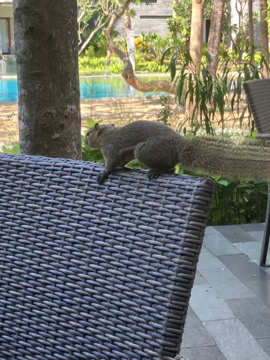 Gastro Courtyard by Marriott Bali Nusa Dua