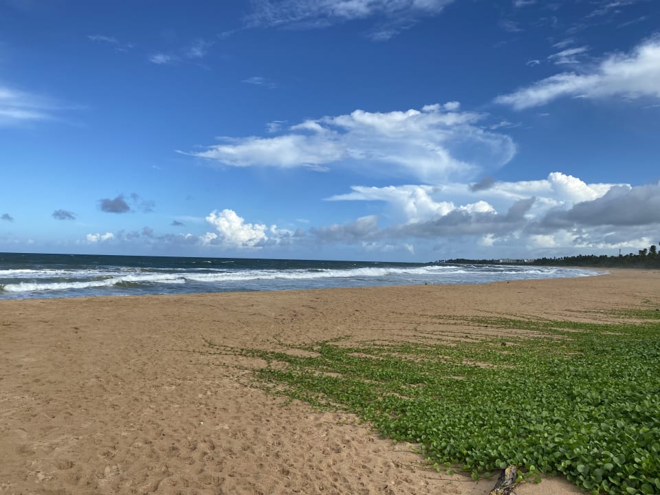 Strand Shinagawa Beach