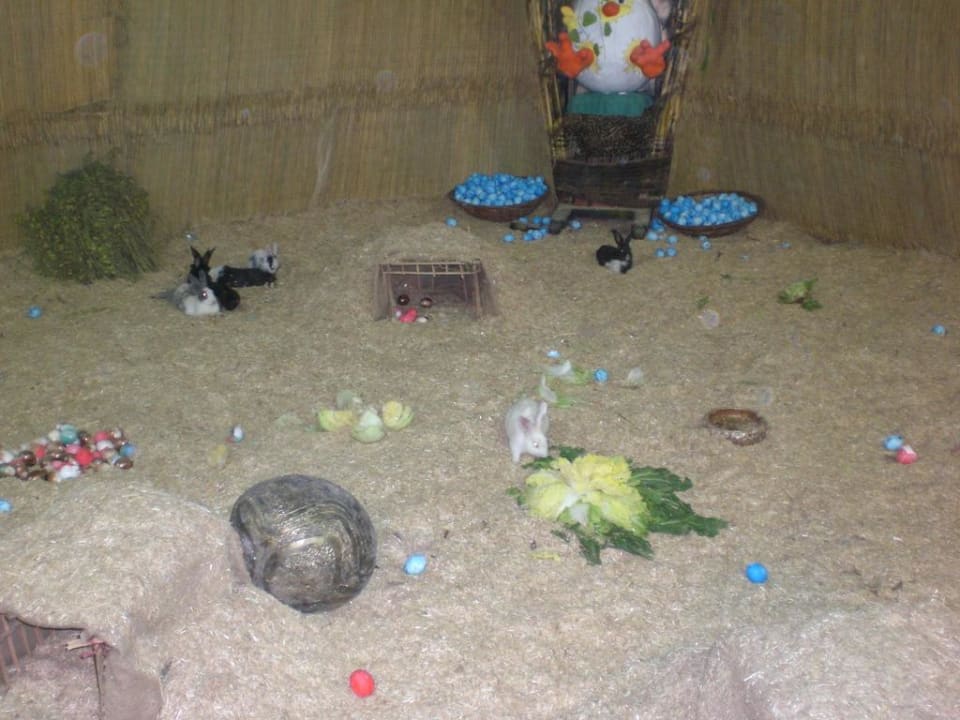 Osterhasen Pickalbatros Alf Leila Wa Leila Resort - Neverland Hurghada