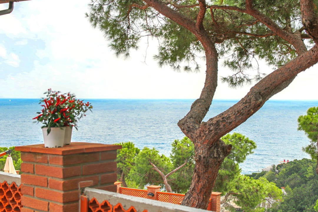 Ausblick Allegroitalia Elba Capo d'Arco