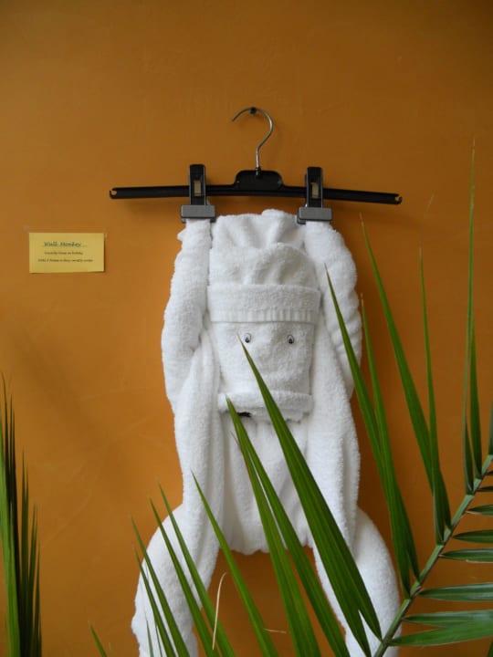 Wall Monkey Odessos Park Hotel