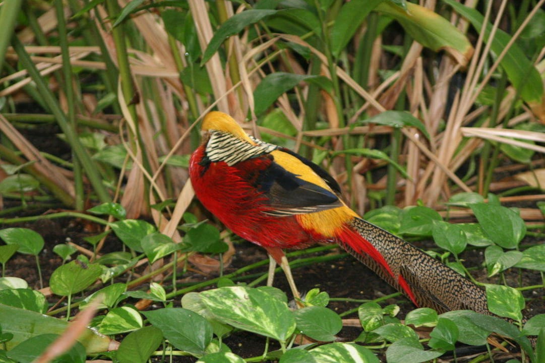 Und Teil III darf auch nicht fehlen Tropical Islands Resort