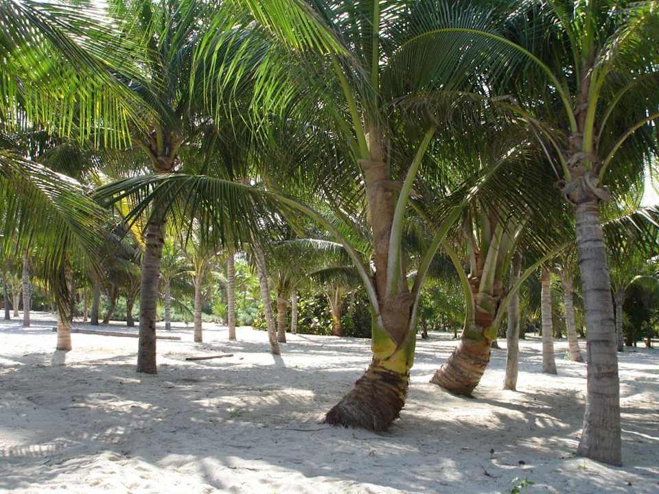 Strand Grand Palladium Colonial Resort & Spa