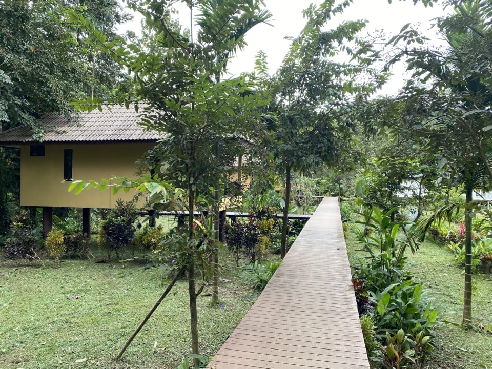 Gartenanlage The Bliss Khao Sok Boutique Lodge