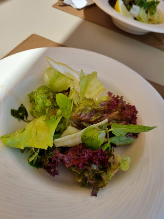 Gastro Side Stella Elite Resort & Spa