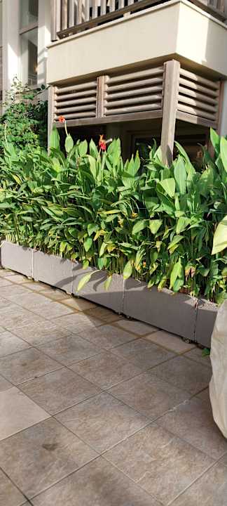 Zimmer Can Garden Resort