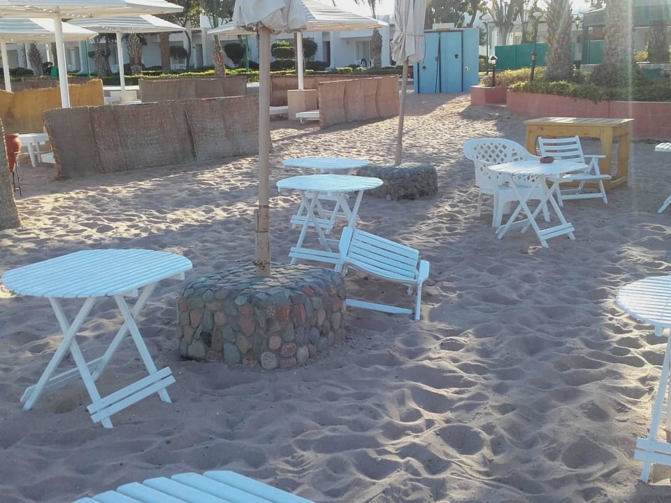 Es gibt nur ganz wenig heile Stühle Menaville Safaga