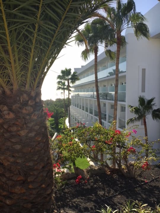 Außenansicht Hotel Riu Palace Tenerife