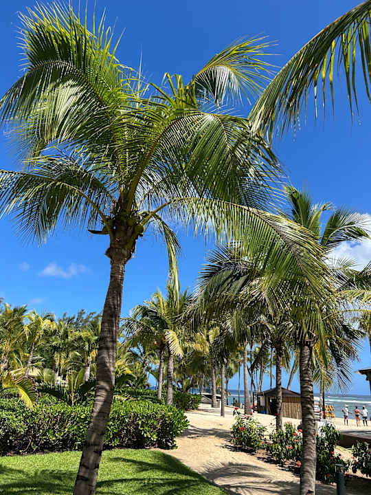 Strand Le Meridien Ile Maurice