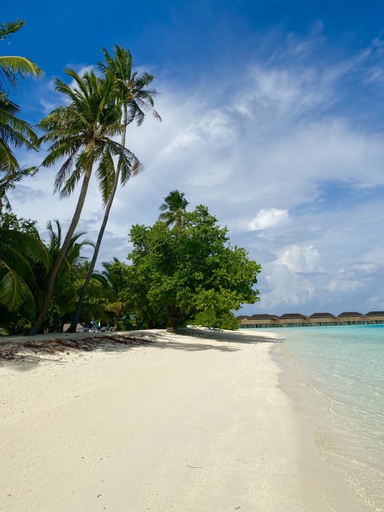 Strand Meeru Maldives Resort Island