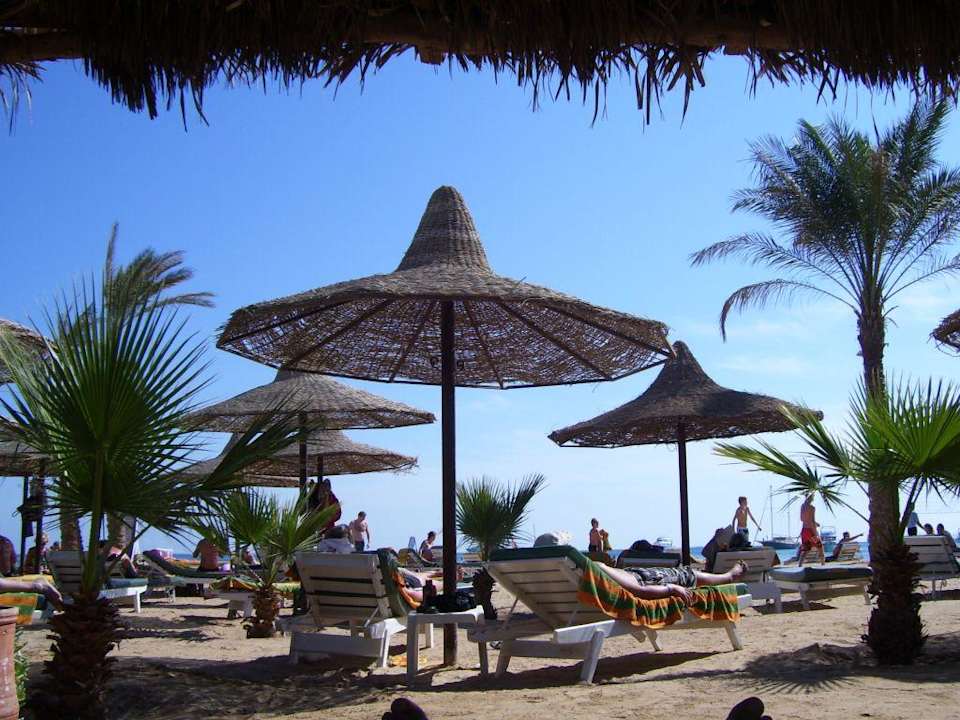 Herrliche Entspannung Giftun Azur Resort