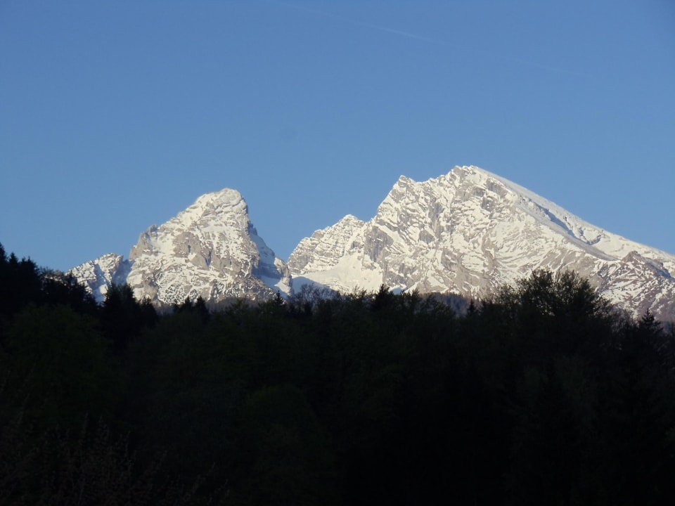 Zoom view from room type Alpenrose Alm- & Wellnesshotel Alpenhof