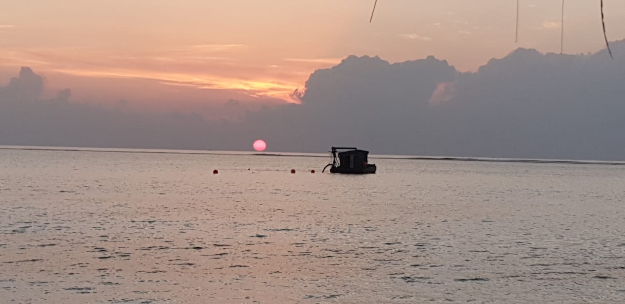 Ausblick OZEN LIFE MAADHOO