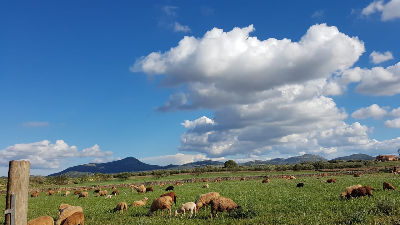 Außenansicht Agroturismo Can Pere Rei