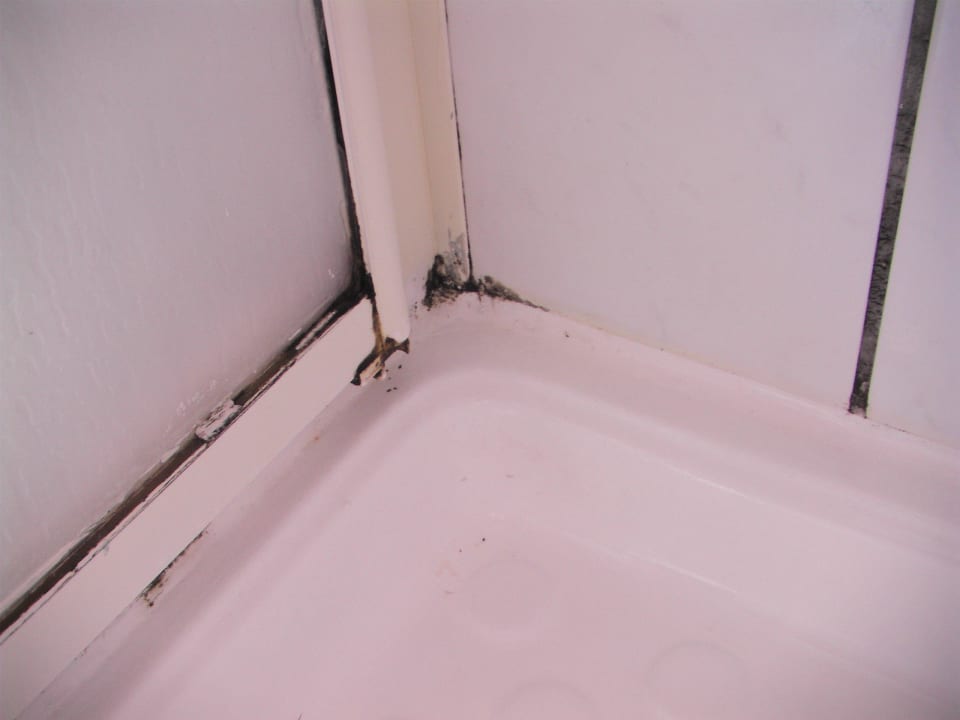 Economy - Dusche - Schimmel Kamelya Aishen Club
