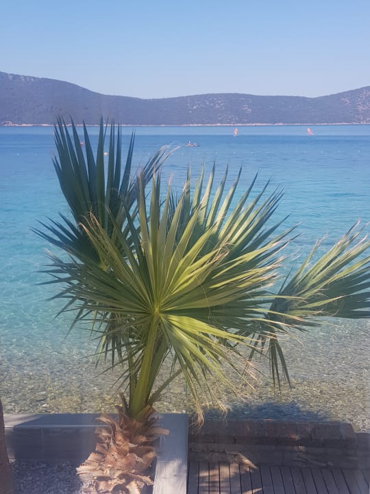 Außenansicht TUI MAGIC LIFE Bodrum - Adult Only (16+)