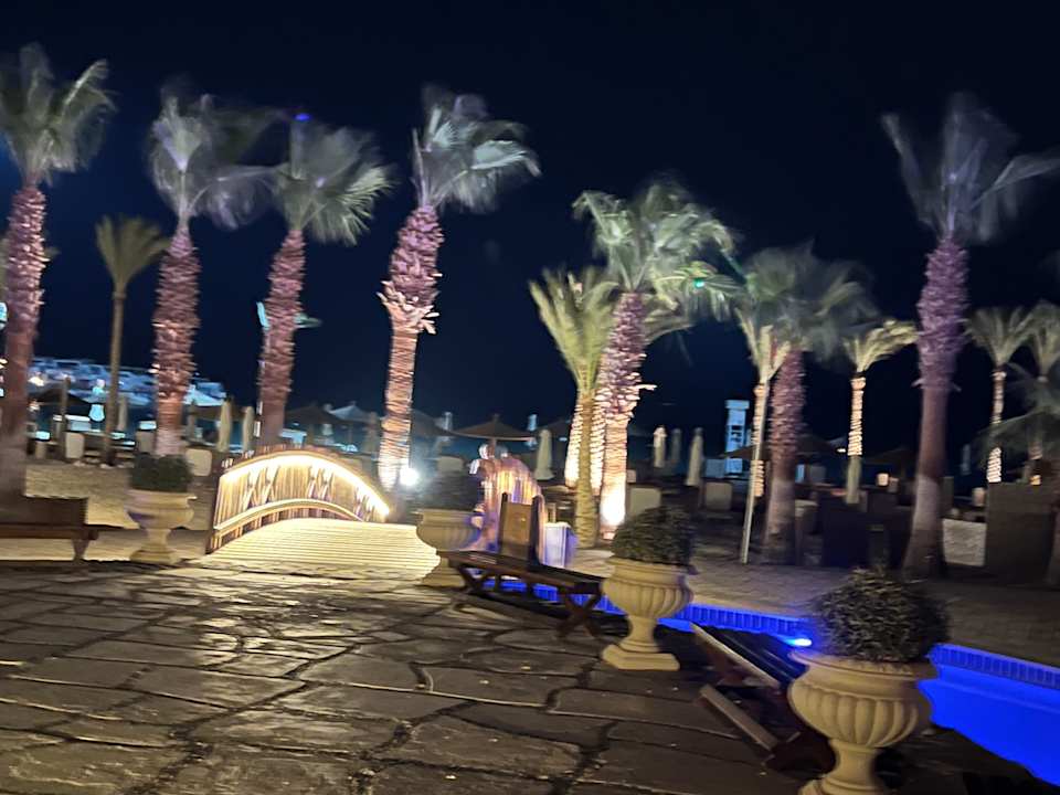 Gartenanlage Steigenberger ALDAU Beach Hotel