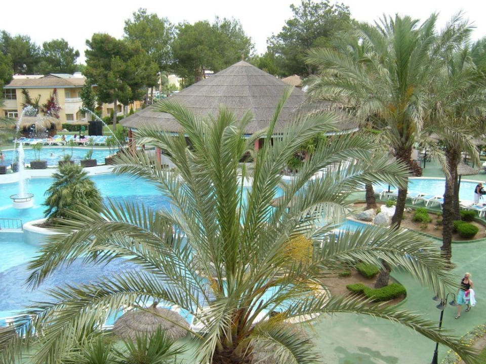 Ausblick zur Poolbar Prinsotel La Dorada