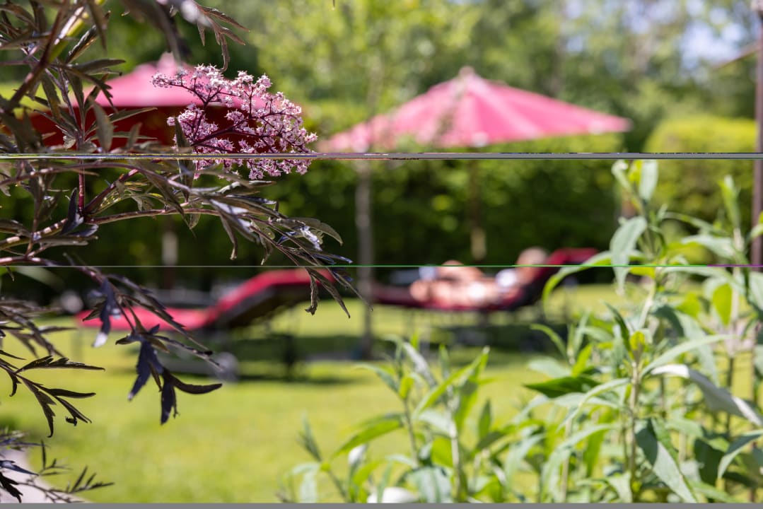 Gartenanlage Hotel Das Landhaus