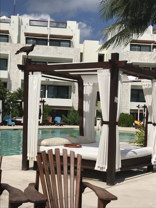 Pool Akumal Bay Beach & Wellness Resort