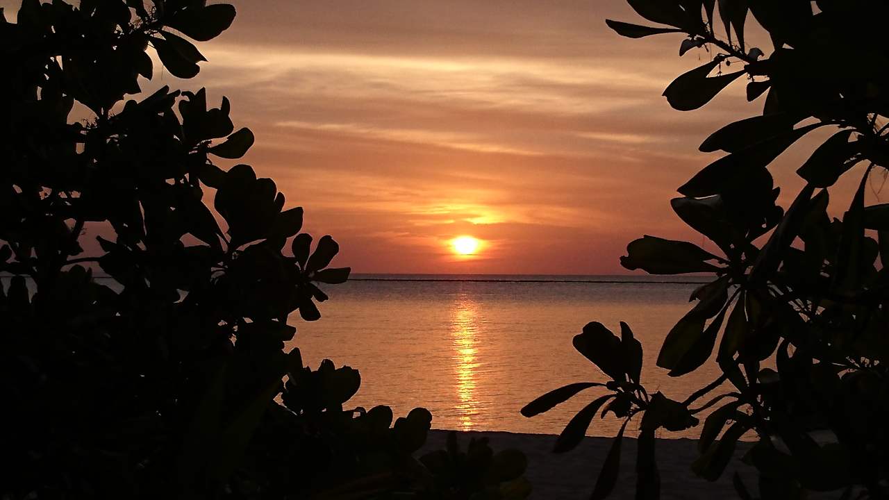 Strand Summer Island Maldives