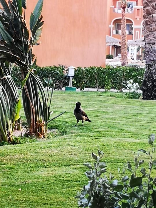 Sonstiges Sentido Caribbean World Soma Bay