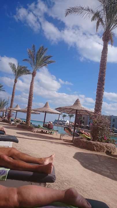 Strand direkt vor dem Zimmer  Arabia Azur Resort