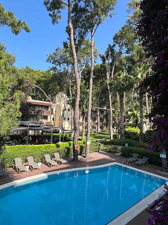 Pool Turquoise Hotel