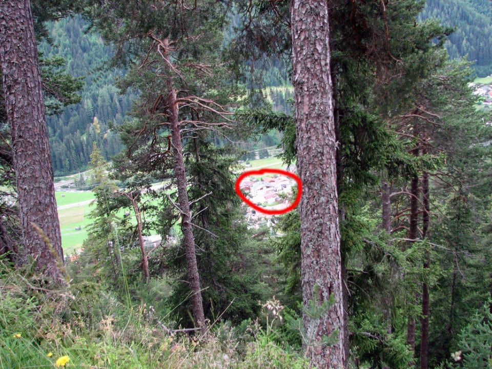 Blick vom Berg ins Tal auf das Hotel Hotel Zur Pfeffermühle