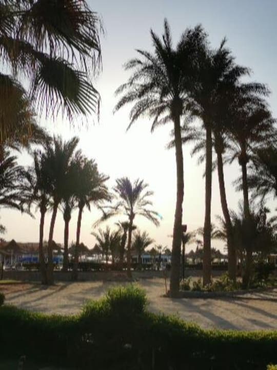 Gartenanlage Giftun Azur Resort