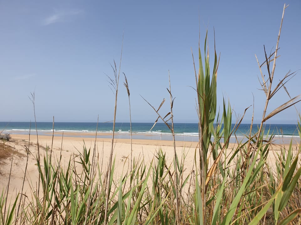 Strand Valentin Sancti Petri