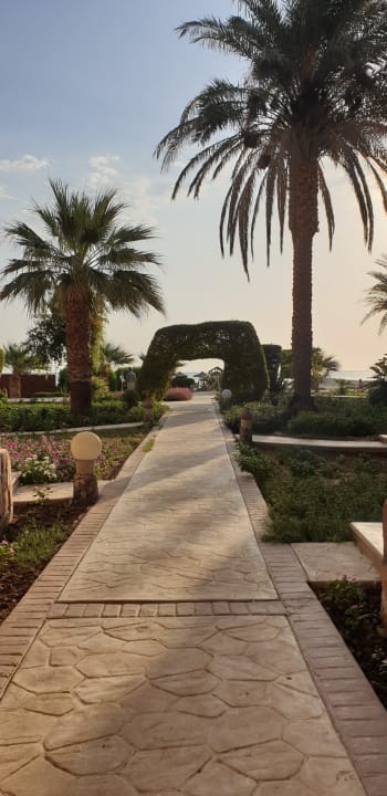 Gartenanlage Shams Alam Beach Resort