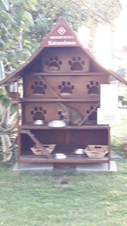 Das Katzenhaus im Beach nebenan... Miramare Queen Hotel