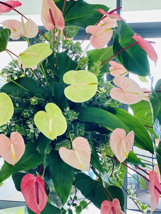 Gartenanlage Hotel Baia Azul