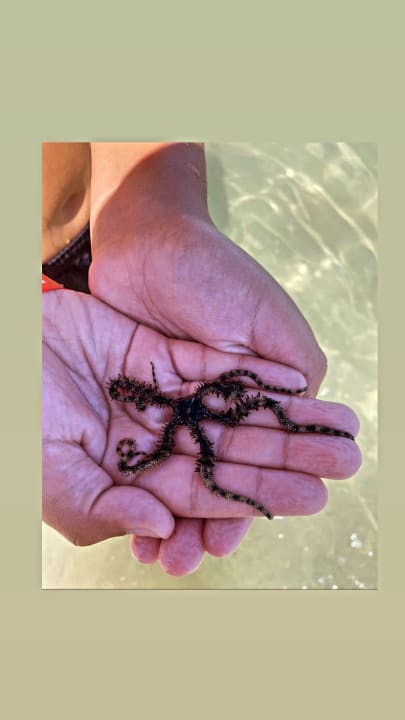 Strand Sentido Caribbean World Soma Bay