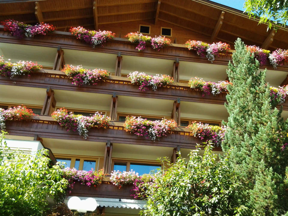 Toller Blumenschmuck Hotel Tirolerhof